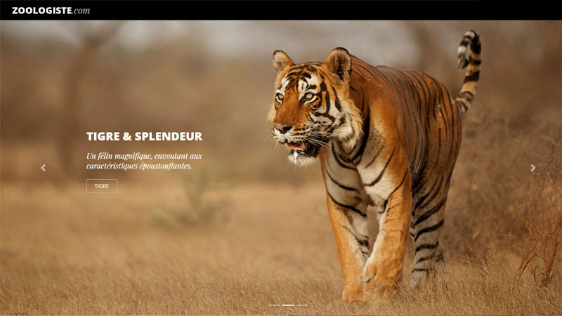 Page d’accueil du site Zoologiste.com